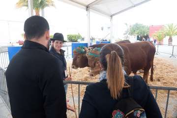 Última jornada de la Feria Gran Canaria Me Gusta tras recibir a casi 9.000 personas en los dos primeros días (Foto TA)